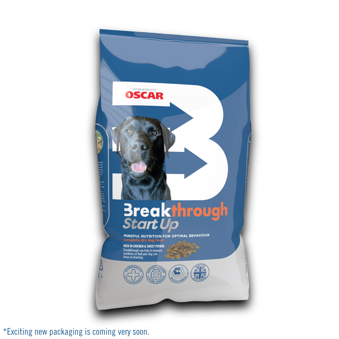 Breakthrough bag and Progress Training Treats bag