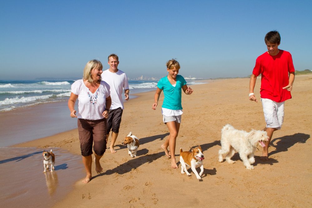 Family running on beach with dogs