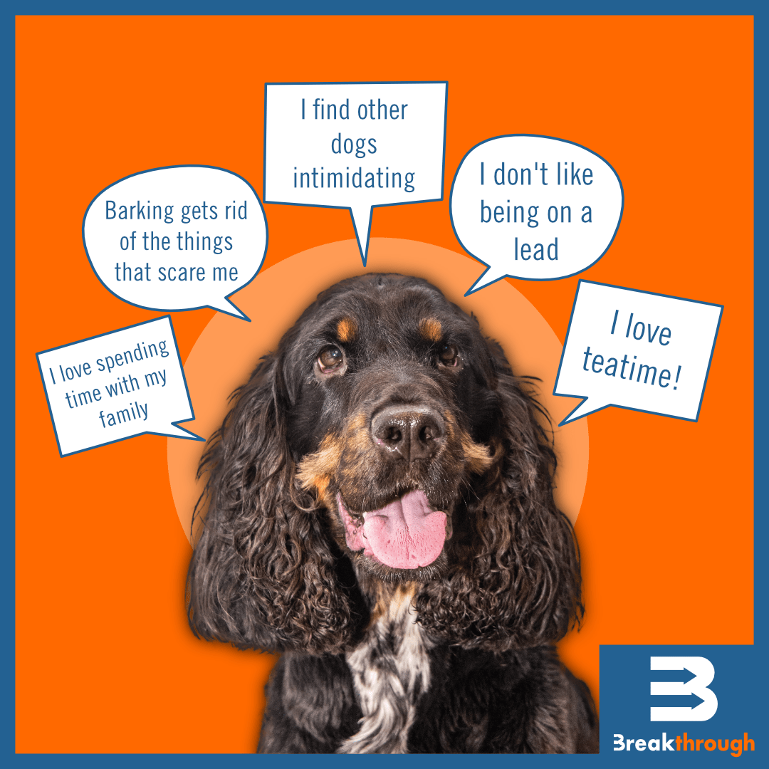 Breakthrough Dog Spaniel Thoughts Graphic